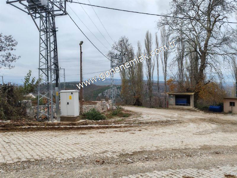 556 m2 İmarlı 2 kat %40 Arsa Köy Evi Ortasında