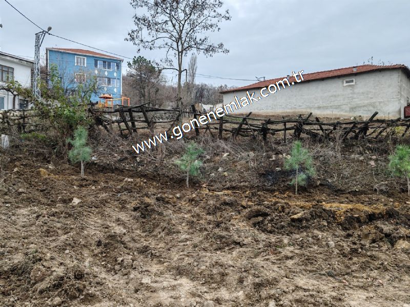 556 m2 İmarlı 2 kat %40 Arsa Köy Evi Ortasında