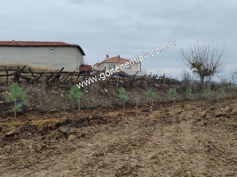 556 m2 İmarlı 2 kat %40 Arsa Köy Evi Ortasında