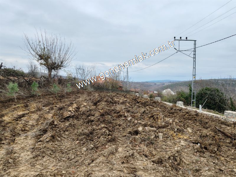556 m2 İmarlı 2 kat %40 Arsa Köy Evi Ortasında