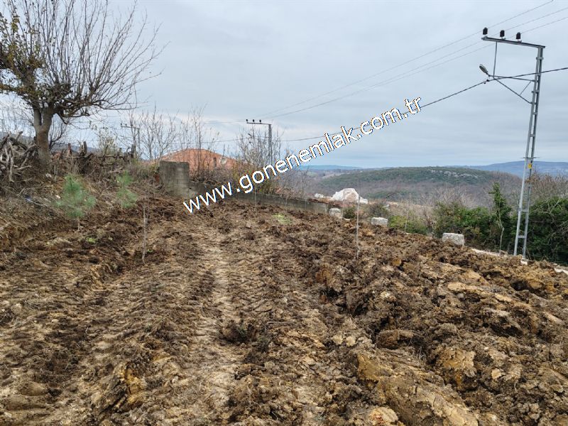 556 m2 İmarlı 2 kat %40 Arsa Köy Evi Ortasında
