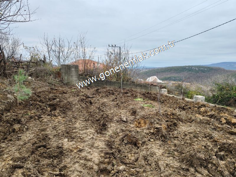 556 m2 İmarlı 2 kat %40 Arsa Köy Evi Ortasında