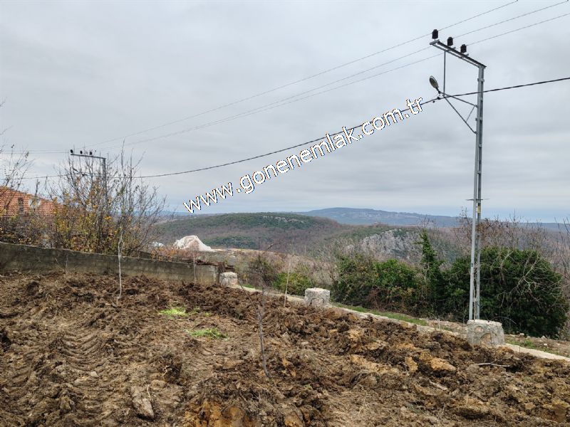 556 m2 İmarlı 2 kat %40 Arsa Köy Evi Ortasında