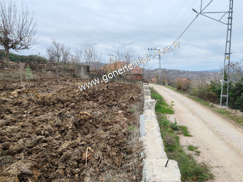 556 m2 İmarlı 2 kat %40 Arsa Köy Evi Ortasında
