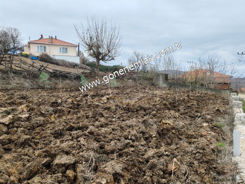 556 m2 İmarlı 2 kat %40 Arsa Köy Evi Ortasında