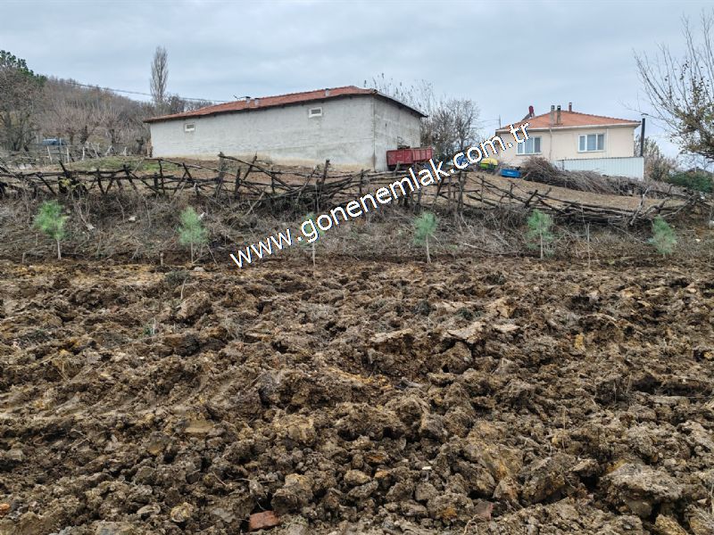 556 m2 İmarlı 2 kat %40 Arsa Köy Evi Ortasında