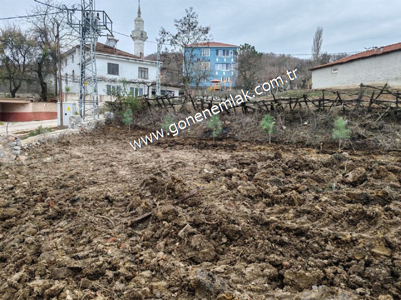 556 m2 İmarlı 2 kat %40 Arsa Köy Evi Ortasında