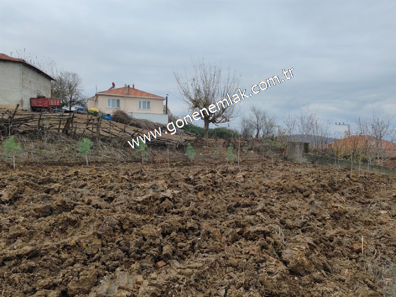 556 m2 İmarlı 2 kat %40 Arsa Köy Evi Ortasında