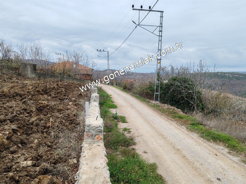 556 m2 İmarlı 2 kat %40 Arsa Köy Evi Ortasında